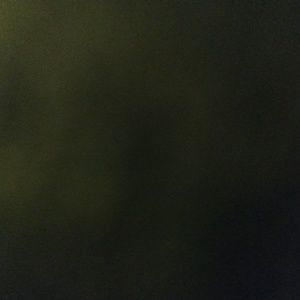 Meet your Posher, Damien